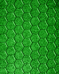 lizard skin