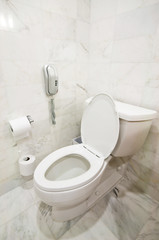 Interior of the room - Toilet in the bathroom