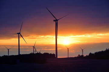 Fototapeta premium Wind turbines during beautiful sunset