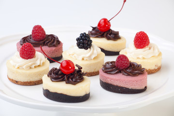 Petite Cheesecakes
