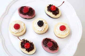 Petite Cheesecakes