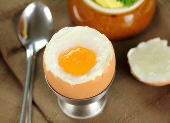 Hard Boiled Egg