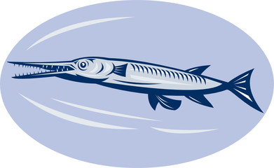 needle fish