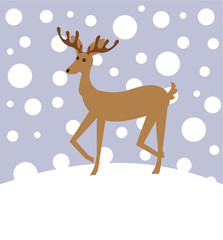 Reindeer in winter