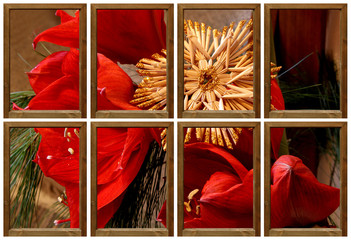 Weihnachtliche Amaryllis Collage