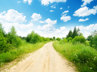 Fototapeta premium ground road and summer sunny day