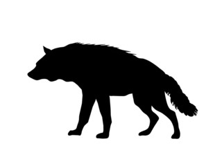 Hyena silhuette