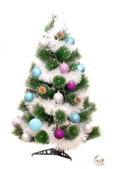 Christmas fir tree