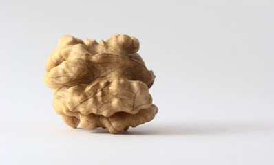 Walnut core
