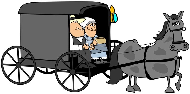 Amish Couple In A Buggy