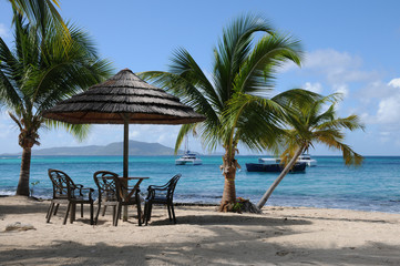 Obraz na płótnie Canvas sandy beach with palms in the Grenadines
