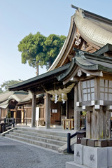 Obraz premium 熊本県阿蘇神社