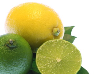 citrus Limette
