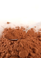 Cocoa powder