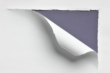 ripped paper