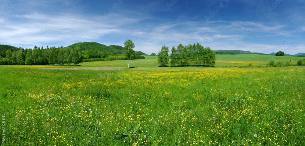 Sticker fresh flowered meadow