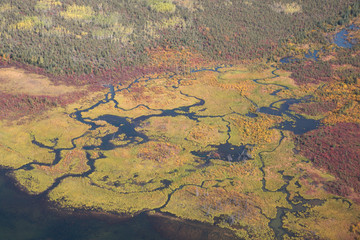 Alaskan Floodplain