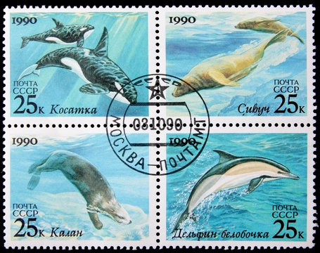 sea mammals postage