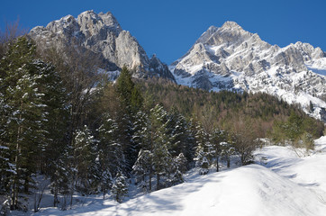 Fototapeta na wymiar Mountains with snow, forest in the middle.