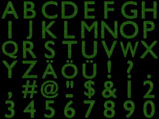 Großbuchstaben aus Gras auf schwarzem Hintergrund