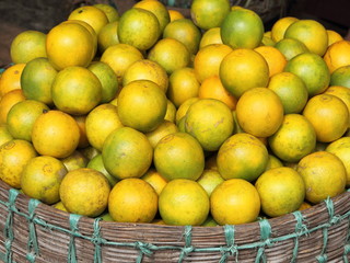 basket of citrus on indian market, Bombay