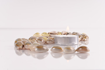 Lit Tea Candle with Array of Shells
