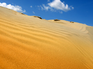 sahara