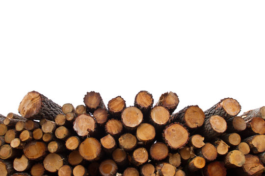 Forestal_001