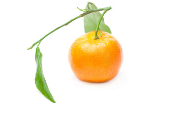 mandarin with green leaves isolated on white