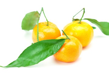 mandarin with green leaves isolated on white