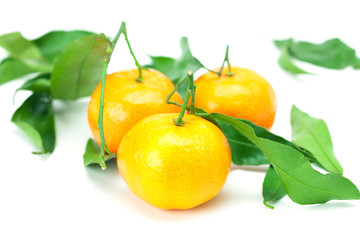 mandarin with green leaves isolated on white