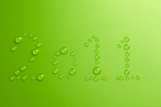 New Year 2011 Green