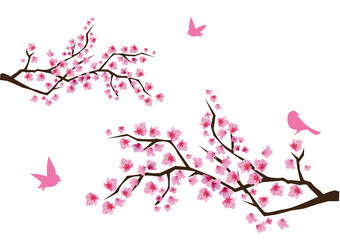 Naklejka premium cherry blossom with birds