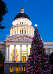 Capitol Christmas Tree in Sacramento California