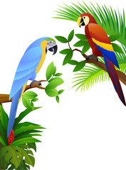 Naklejka premium Parrot bird