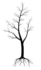 Силуэт дерева