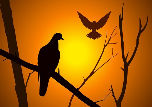 Silhouette illustration of birds