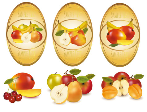Three labels with different sorts of fruit. Vector.