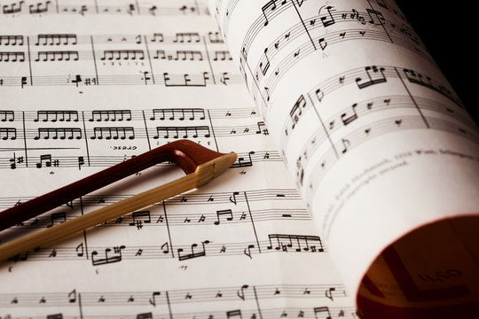 Violon
