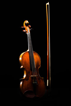 Violon