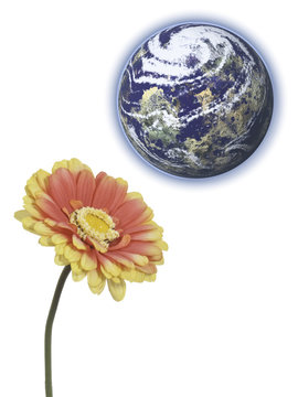 Tierra y flor