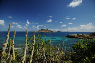 view on beautiful bay in the grenadines © alficc