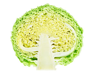 Half of fresh green cabbage isolated on white background