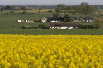 Agricultural district with small farms in &Ouml;sterlen,Sweden