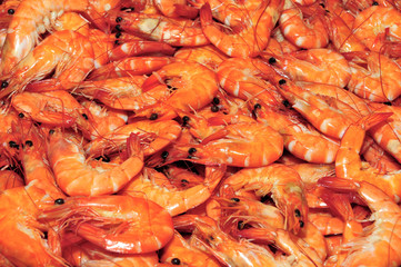 shrimps