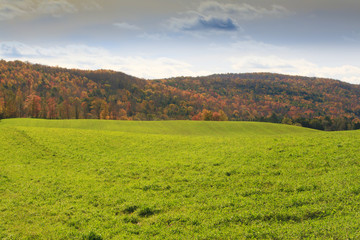 Green Pasture with Mountains in Background