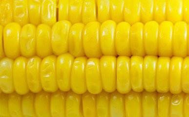 Fresh corn