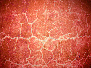 Red Rough old wall