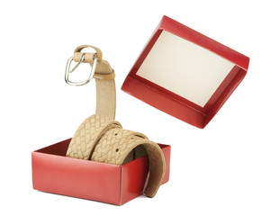 The  belt jumps out of a box as a snake