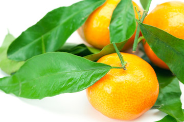 mandarin with green leaves isolated on white